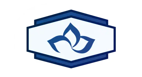 brand logo design service